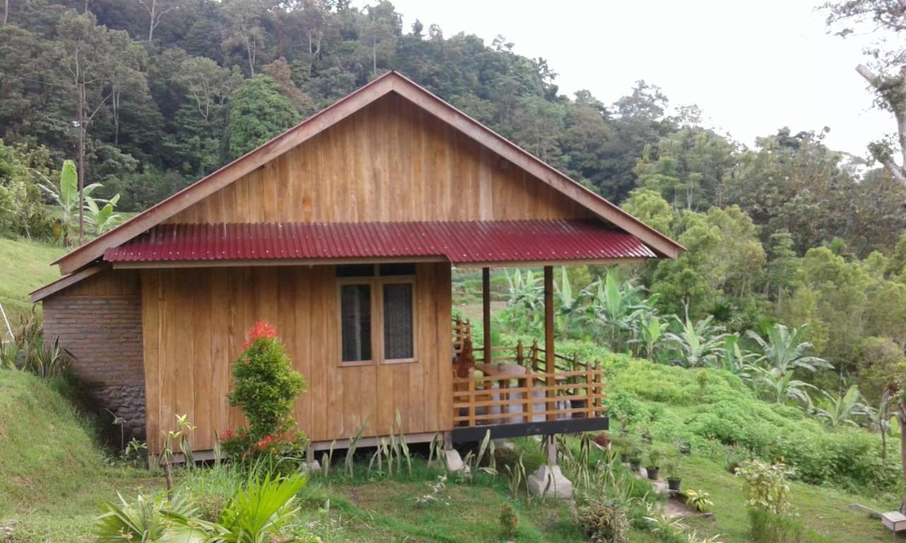 Bagoes View Cottages Maninjau エクステリア 写真